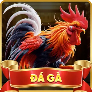 Biểu tượng đa dạng trò chơi 678win
