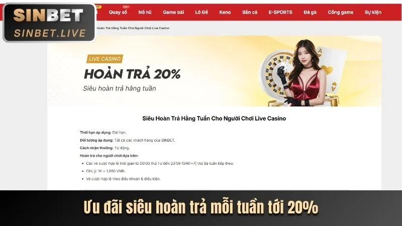 Hoàn trả cược đá gà hàng tuần 678win